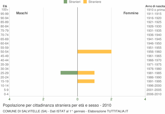 Grafico cittadini stranieri - Salvitelle 2010