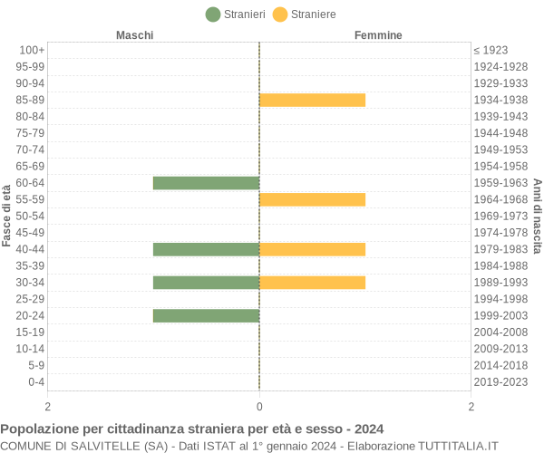 Grafico cittadini stranieri - Salvitelle 2024