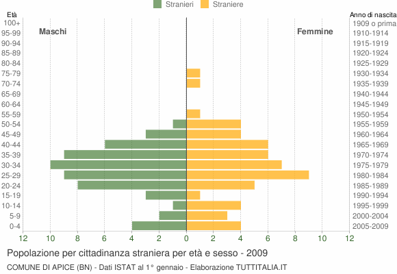Grafico cittadini stranieri - Apice 2009