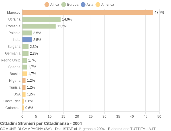 Grafico cittadinanza stranieri - Campagna 2004