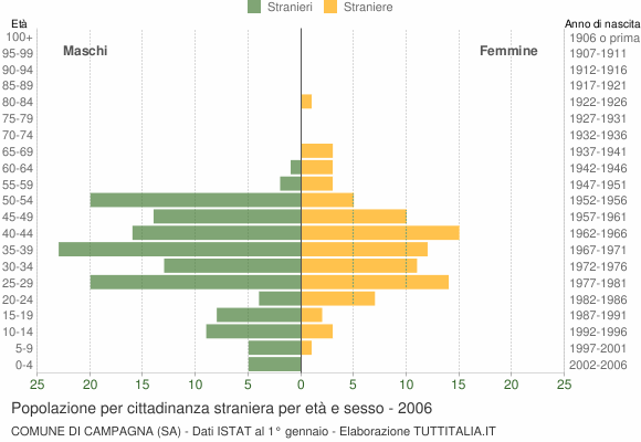 Grafico cittadini stranieri - Campagna 2006