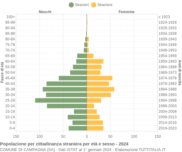 Grafico cittadini stranieri - Campagna 2024