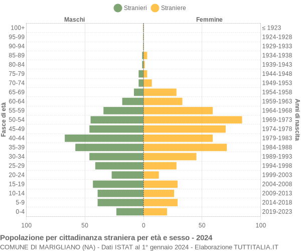 Grafico cittadini stranieri - Marigliano 2024