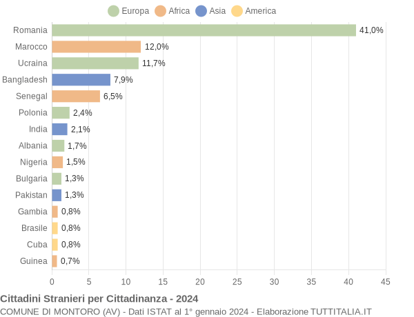 Grafico cittadinanza stranieri - Montoro 2024