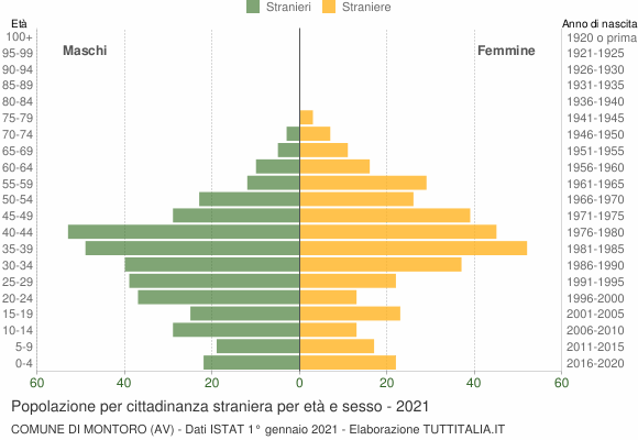 Grafico cittadini stranieri - Montoro 2021