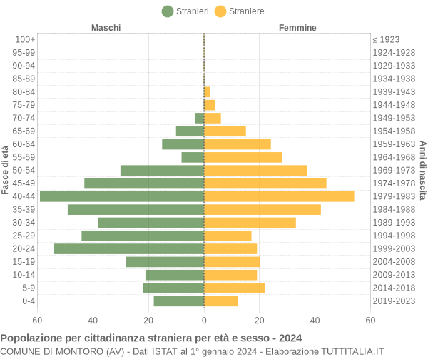 Grafico cittadini stranieri - Montoro 2024