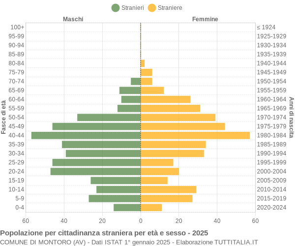 Grafico cittadini stranieri - Montoro 2025