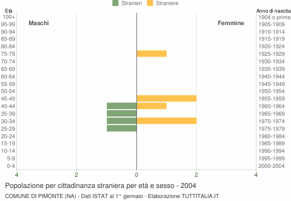 Grafico cittadini stranieri - Pimonte 2004
