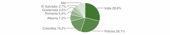 Grafico cittadinanza stranieri - Visciano 2012