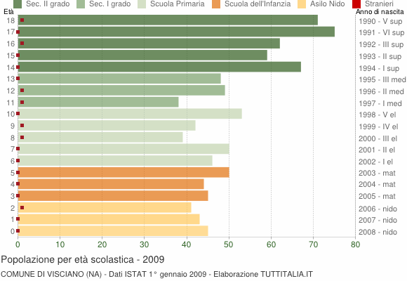 Grafico Popolazione in età scolastica - Visciano 2009