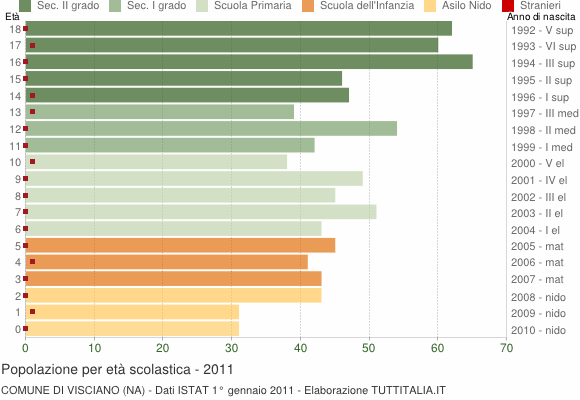 Grafico Popolazione in età scolastica - Visciano 2011