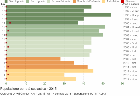 Grafico Popolazione in età scolastica - Visciano 2015