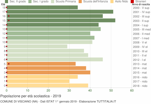 Grafico Popolazione in età scolastica - Visciano 2019