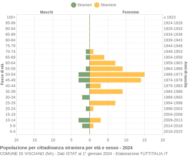 Grafico cittadini stranieri - Visciano 2024