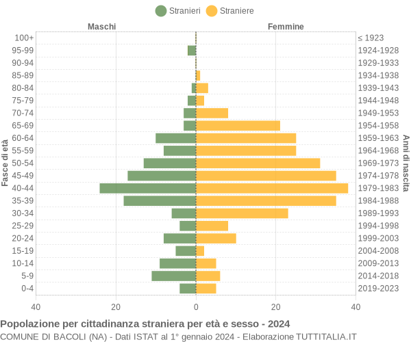 Grafico cittadini stranieri - Bacoli 2024