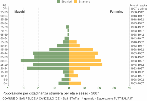 Grafico cittadini stranieri - San Felice a Cancello 2007