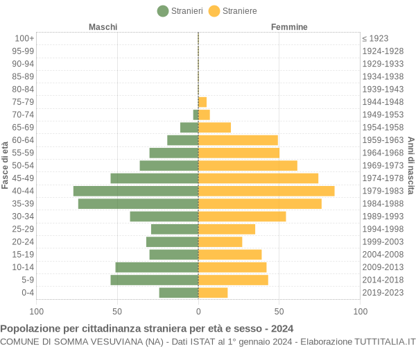 Grafico cittadini stranieri - Somma Vesuviana 2024