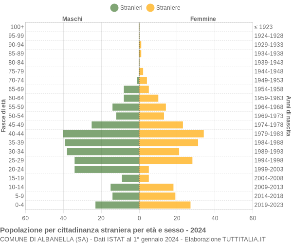 Grafico cittadini stranieri - Albanella 2024