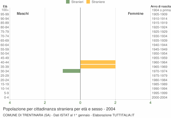 Grafico cittadini stranieri - Trentinara 2004