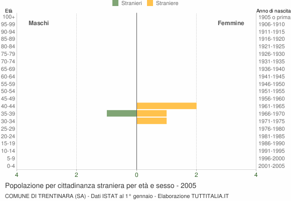 Grafico cittadini stranieri - Trentinara 2005
