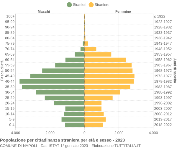 Grafico cittadini stranieri - Napoli 2023