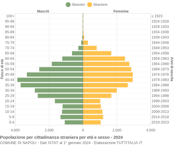 Grafico cittadini stranieri - Napoli 2024