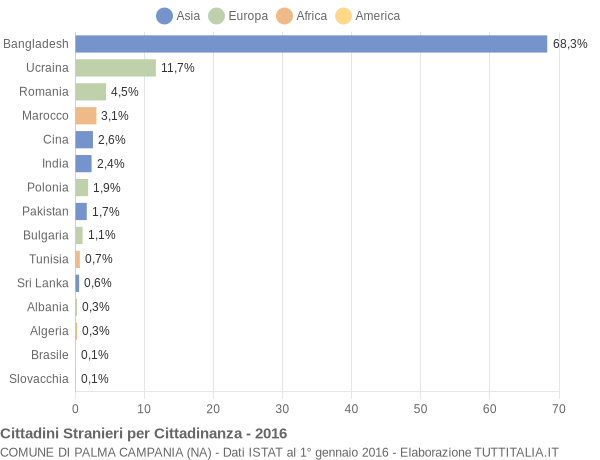 Grafico cittadinanza stranieri - Palma Campania 2016