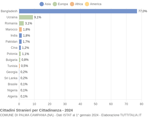 Grafico cittadinanza stranieri - Palma Campania 2024