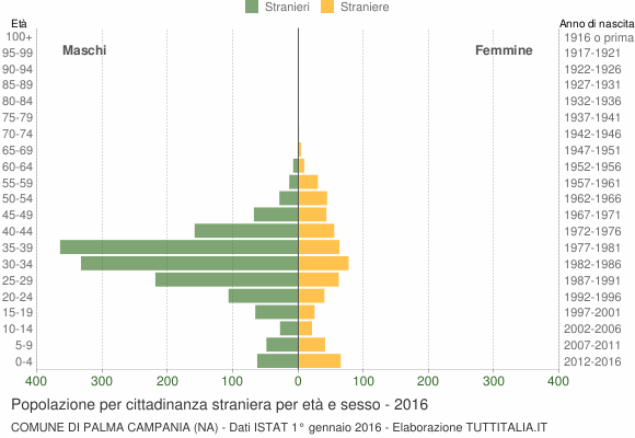 Grafico cittadini stranieri - Palma Campania 2016