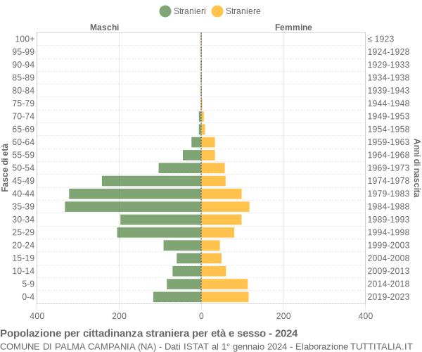 Grafico cittadini stranieri - Palma Campania 2024