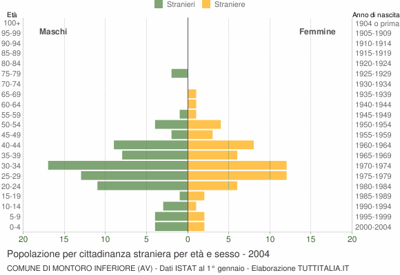 Grafico cittadini stranieri - Montoro Inferiore 2004