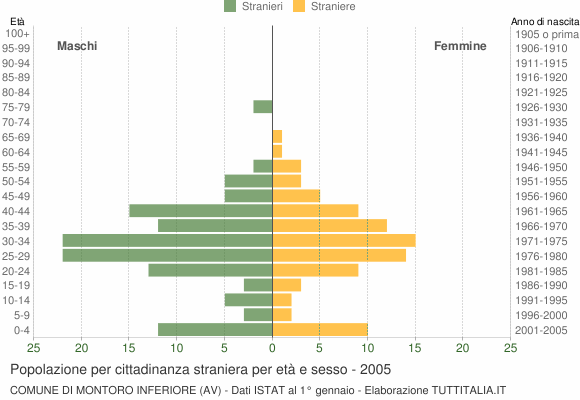 Grafico cittadini stranieri - Montoro Inferiore 2005