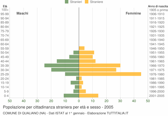 Grafico cittadini stranieri - Qualiano 2005