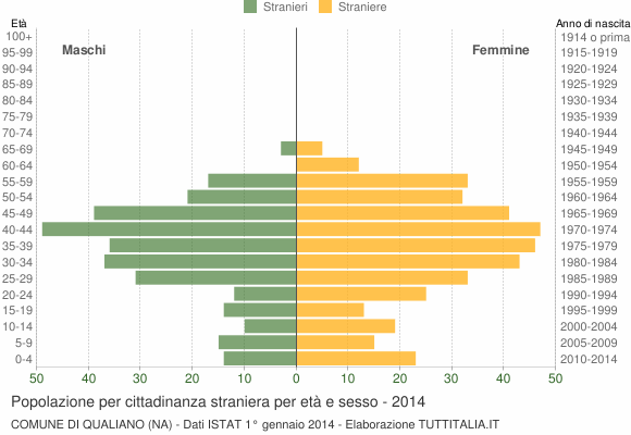 Grafico cittadini stranieri - Qualiano 2014