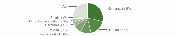 Grafico cittadinanza stranieri - Massa Lubrense 2010