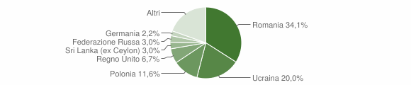 Grafico cittadinanza stranieri - Massa Lubrense 2013
