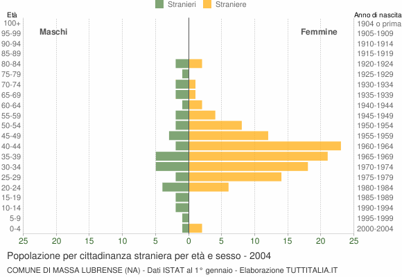 Grafico cittadini stranieri - Massa Lubrense 2004