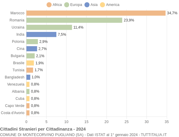 Grafico cittadinanza stranieri - Montecorvino Pugliano 2024