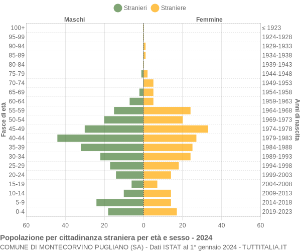 Grafico cittadini stranieri - Montecorvino Pugliano 2024