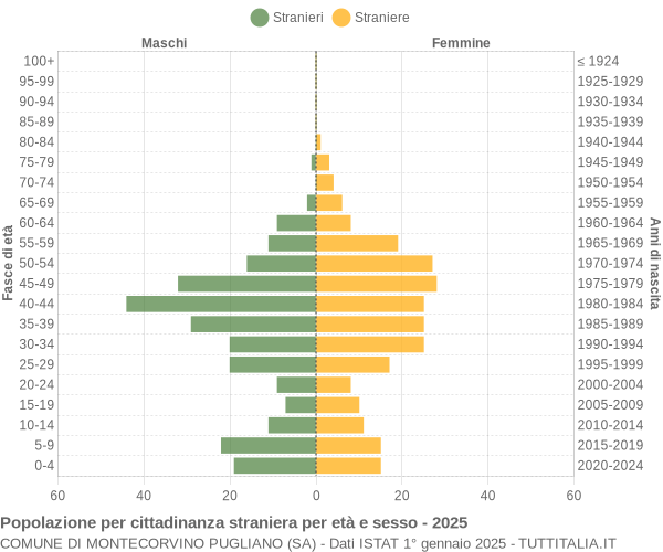 Grafico cittadini stranieri - Montecorvino Pugliano 2025
