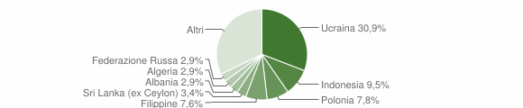 Grafico cittadinanza stranieri - Casoria 2007