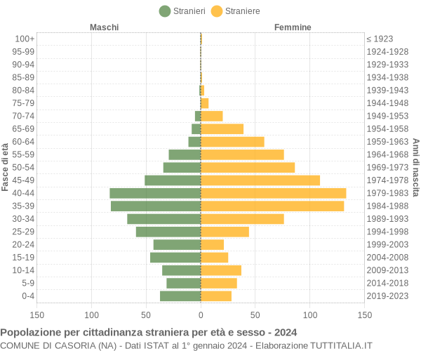 Grafico cittadini stranieri - Casoria 2024