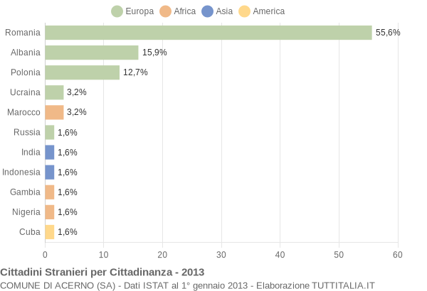 Grafico cittadinanza stranieri - Acerno 2013