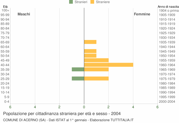 Grafico cittadini stranieri - Acerno 2004