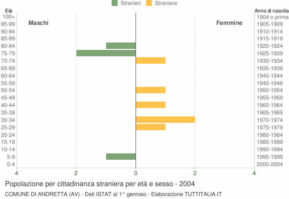 Grafico cittadini stranieri - Andretta 2004