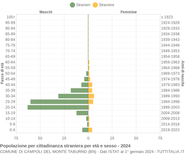 Grafico cittadini stranieri - Campoli del Monte Taburno 2024