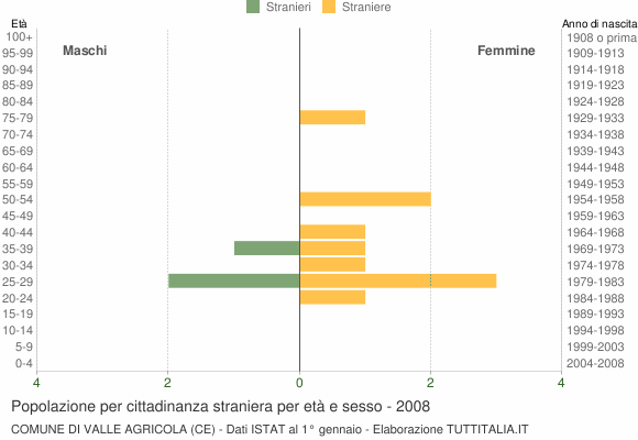 Grafico cittadini stranieri - Valle Agricola 2008