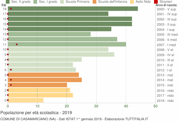 Grafico Popolazione in età scolastica - Casamarciano 2019