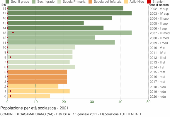 Grafico Popolazione in età scolastica - Casamarciano 2021
