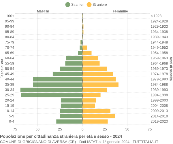 Grafico cittadini stranieri - Gricignano di Aversa 2024